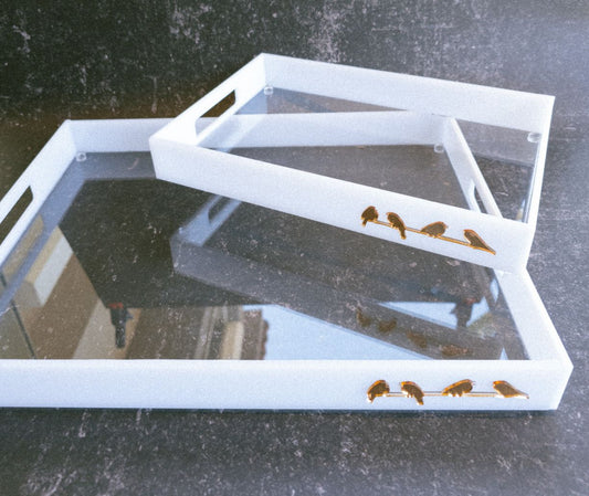 Bird Plexiglass Tray