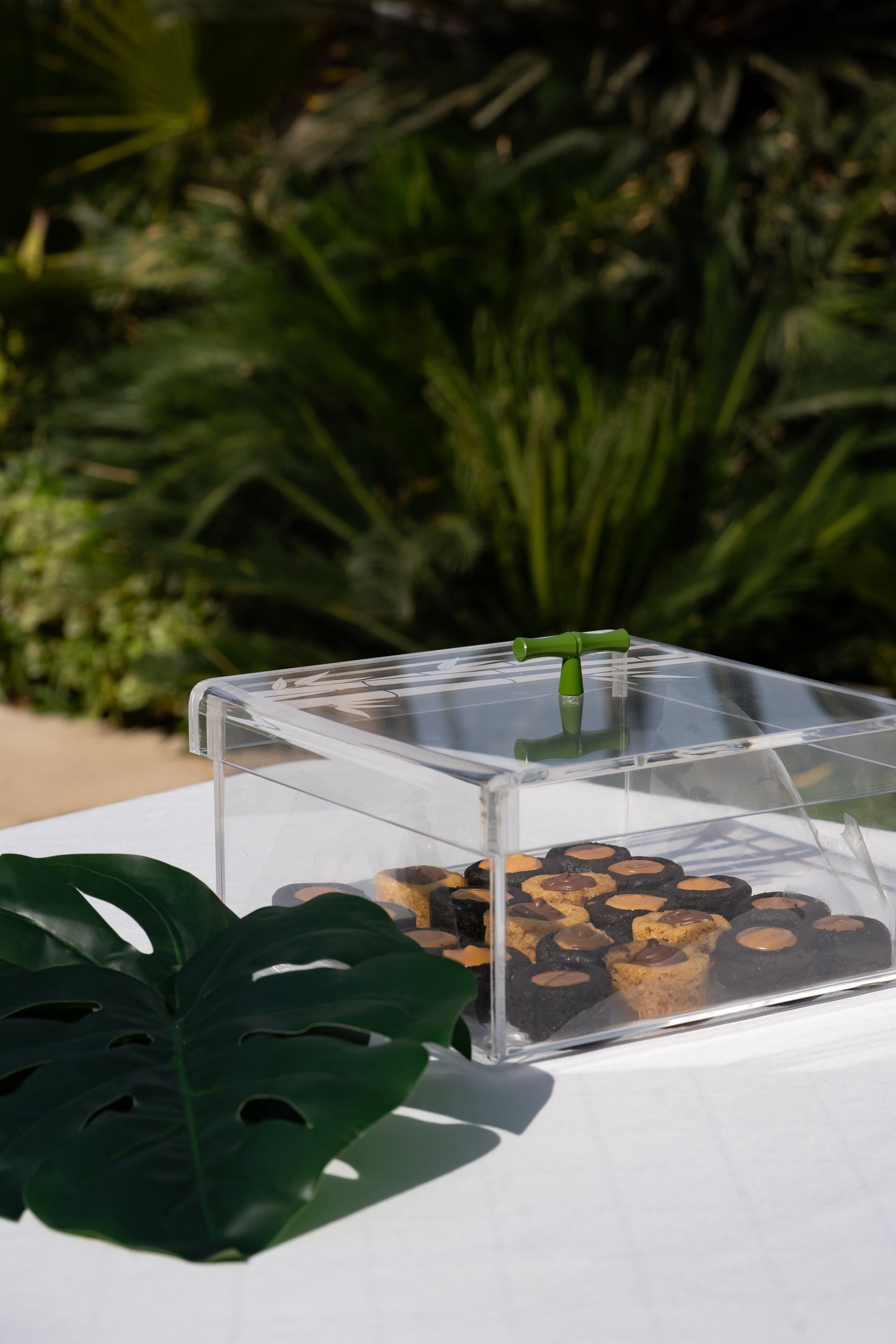 Bamboo Plexiglass Box