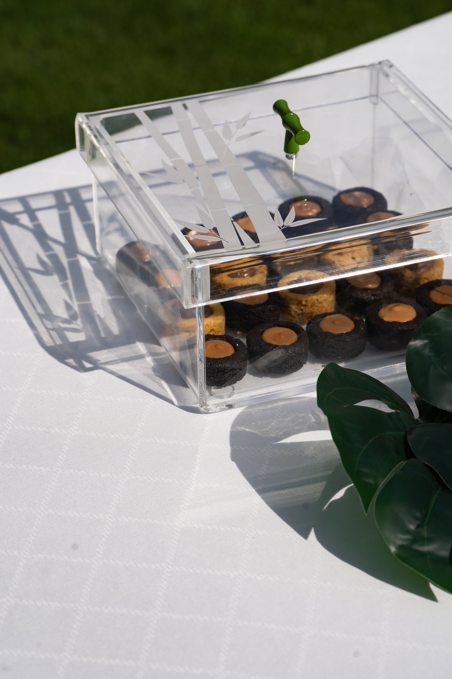 Bamboo Plexiglass Box