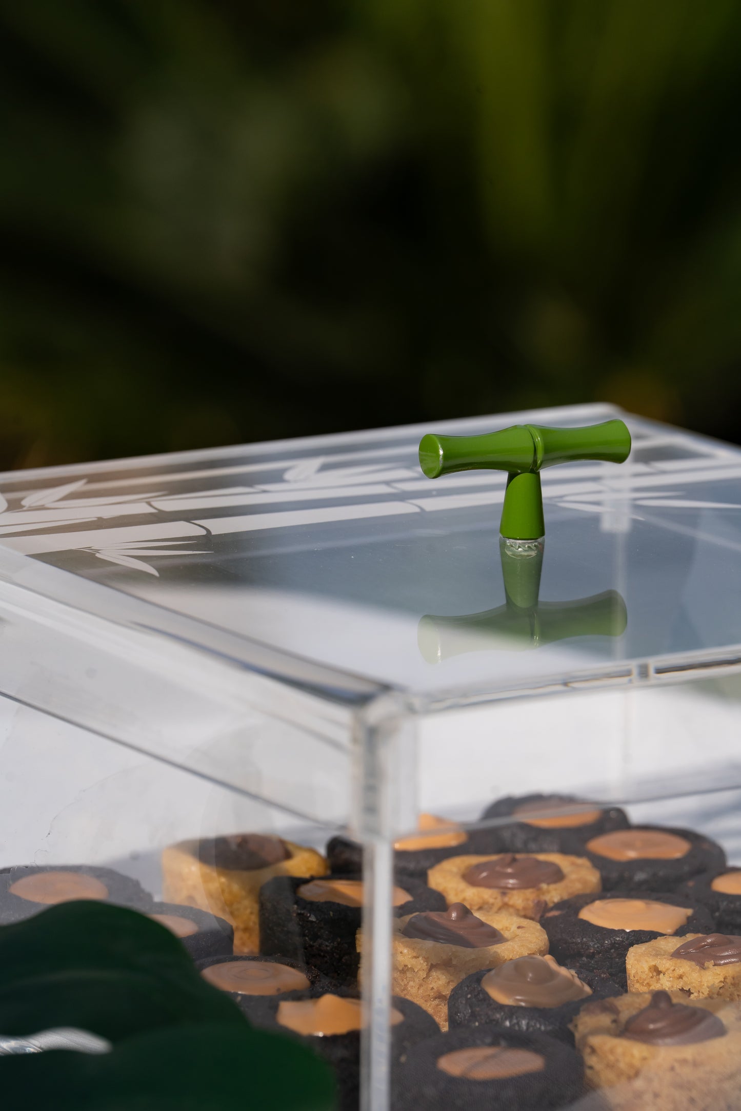 Bamboo Plexiglass Box