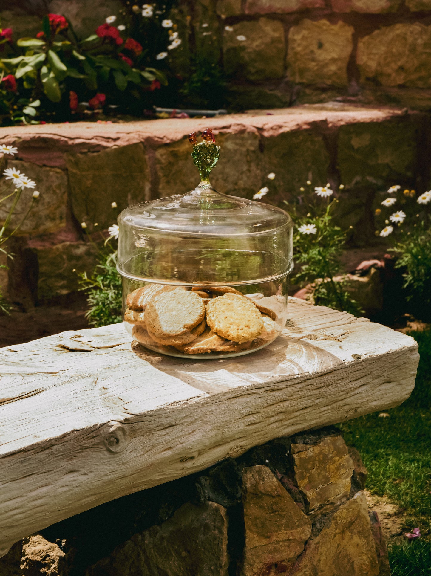 Glass cactus cookie jar