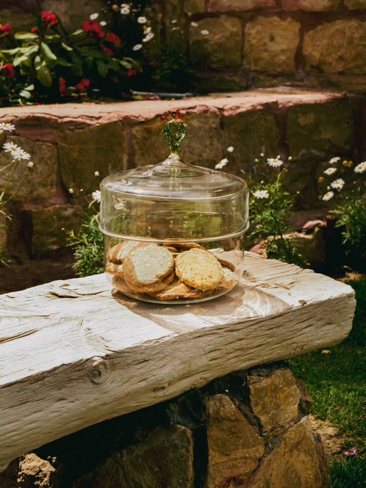 Glass cactus cookie jar