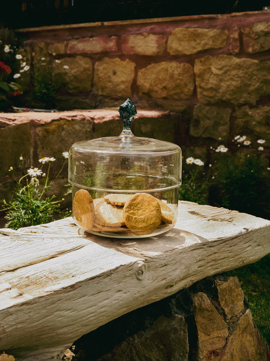 Glass cactus cookie jar